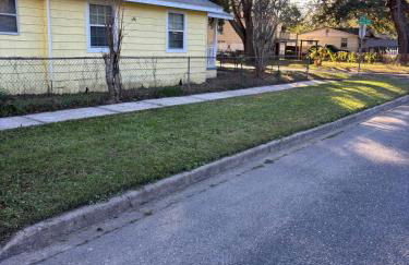 Urban Oasis - Foto 53