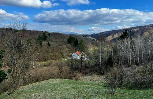 Villa Andjelija - Foto 1