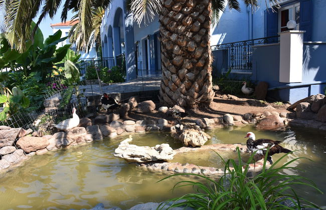 Blue Sky Hotel - Foto 45