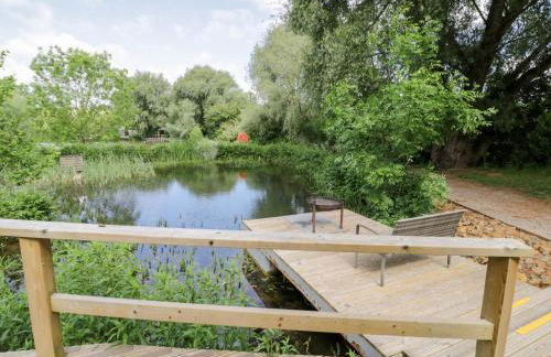 The Shepherds Hut at Bridge Lake Farm & Fishery - Foto 6