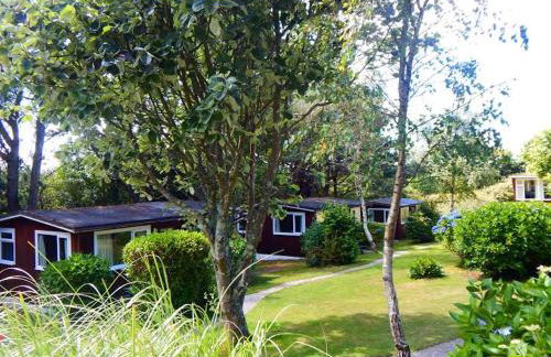 Mount Hawke Holiday Bungalows - Foto 17