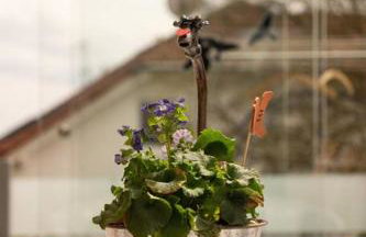 Urlaub mit verglaster Terrasse - Foto 9