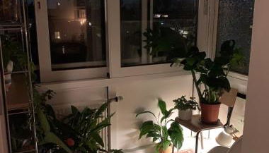 Bright old building whole Apartment Cologne - Foto 4