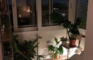 Bright old building whole Apartment Cologne - Foto 4