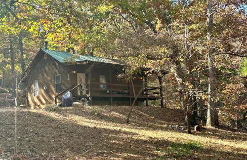 Black Bear Cabin - Giant Spa Tub, Peaceful Location - Foto 13