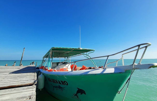 Snorkeling avec les requins-baleines à Holbox - Foto 7