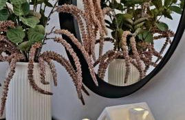 FeWo Wanderlust - Foto 4