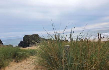 Portec la mer et le sentier côtier à pied - Foto 47
