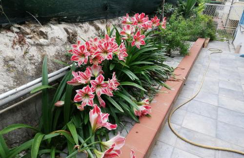 Casa Deli - Le Farfalle Blu - Foto 6