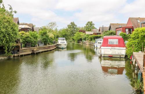 Kingfisher - Photo 34