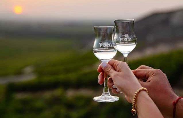 Pisco & Wine Tour - Foto 3