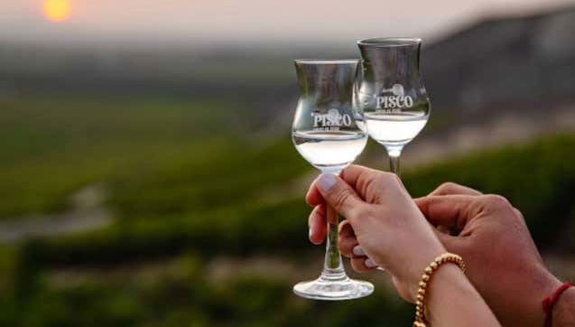 Pisco & Wine Tour - Foto 2