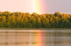 Zielona Dolina - Foto 45