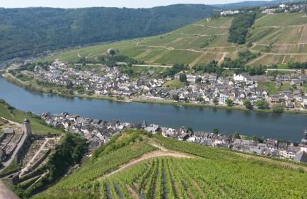 Ferienhaus Leo - Foto 27