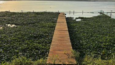 Magnífica Chácara com Fundo para a Represa - Foto 5