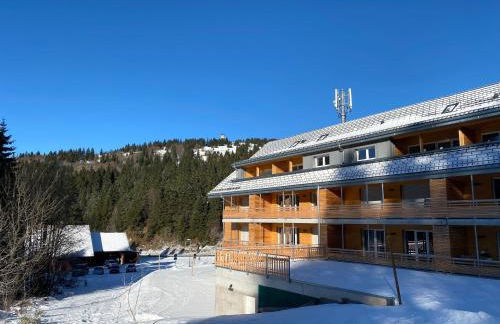 Wiesenquell Apartment Feldberg - Foto 40