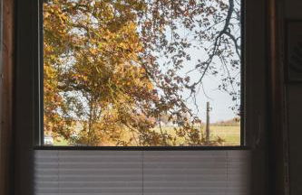 Hof Bahrenwinkel - Foto 44