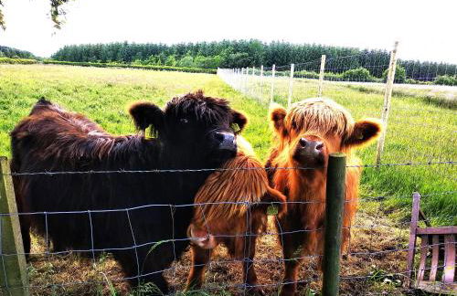 Cottage with Panoramic Views - Photo 23