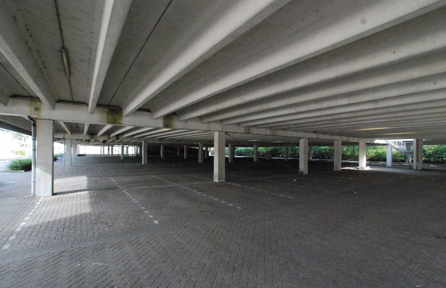 2L De Blend - Photo 47