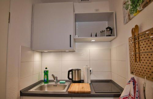 RR - Tiny Apartment - Parking - Kitchen - WIFI - Foto 8