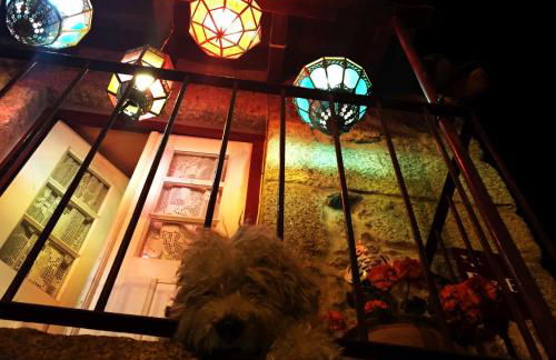 Casa de David - Foto 17