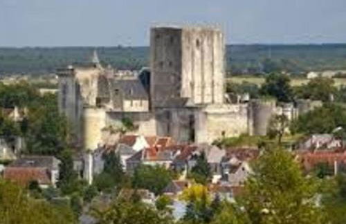 Maison de vacances avec grande piscine et tennis, proche du Zoo de Beauval et des Châteaux de la Loire - FR-1-591-47 - Foto 4