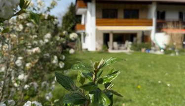 Ferienhaus Sonnenschein - Foto 3