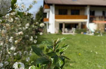 Ferienhaus Sonnenschein - Photo 3