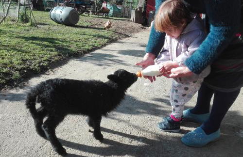 Agroturismo La Casona de Belmonte - Foto 96
