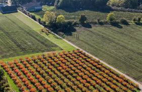 'Bramley' Hut on private farm - Foto 28