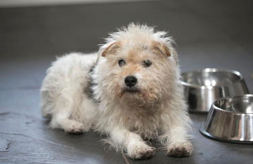 Bangeston Barn - Foto 9