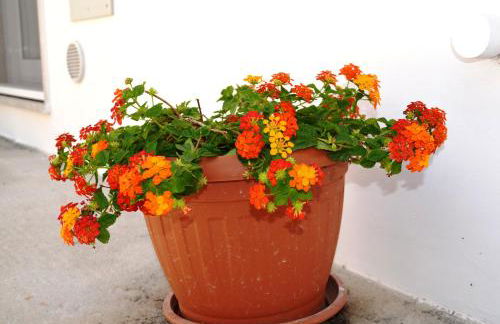 Casa Low Cost - Foto 14