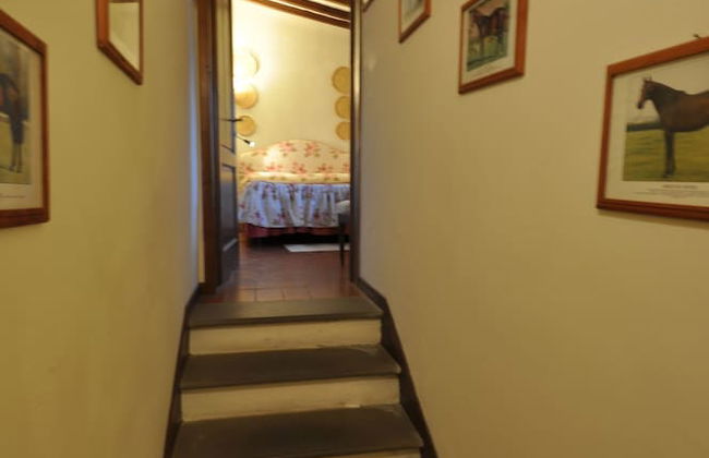 Fattoria di Maiano - Foto 5