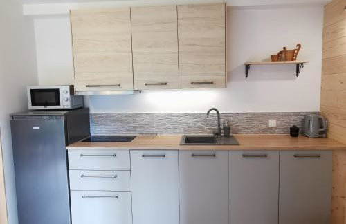 Apartament Antałówka z ogródkiem - Foto 6