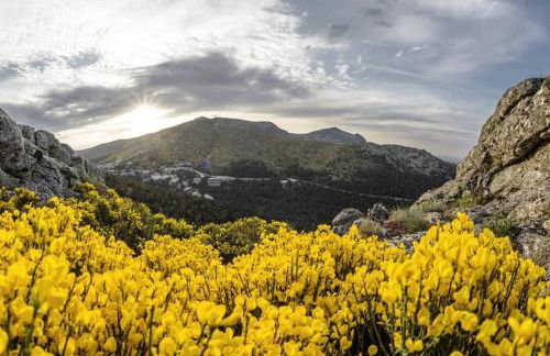 La Holandesa - Foto 39