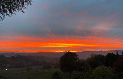 Villa Fiori - Foto 20