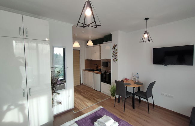 One room apartment - Foto 22