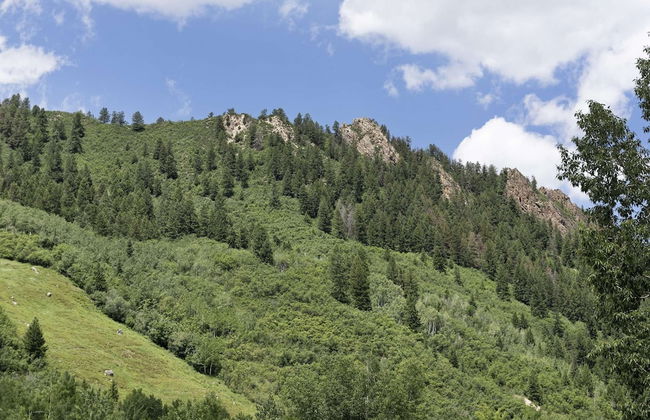 Durant Condos by iTrip Aspen Snowmass - Foto 32