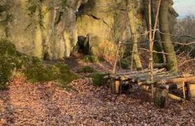 Ferienwohnung Zum Märchenwald - Foto 34