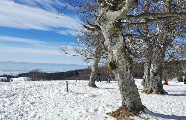 Feldbergblick - Foto 31