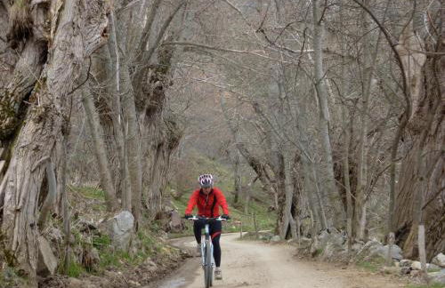 Casa rural cal Rei - Foto 114