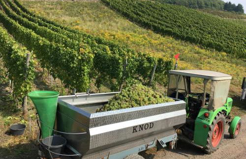 Ferienhaus Merl - Foto 39