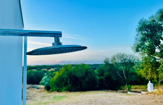 Fazenda do Pomar - Foto 61