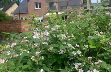 Sonniges Haus - Photo 6