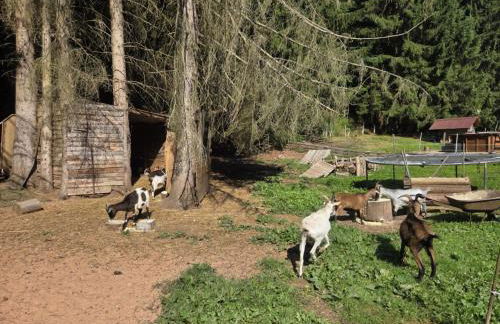 LA PARENTHÈSE AU PAYS DU VERT - Foto 31