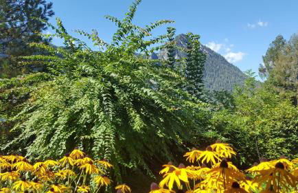 Gästehaus Weinrebe - Foto 9