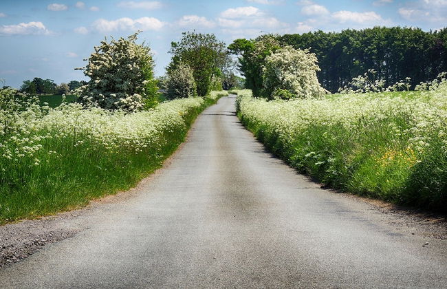 Squirrel Barn - Foto 26