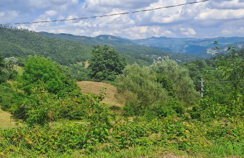 La piccola baita - Photo 52