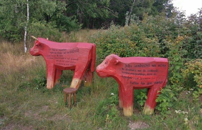 Martina Heydecke Comfortable Holiday Residence - Foto 29