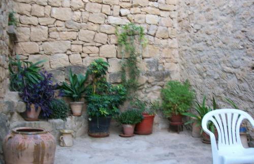 Casa de la Musica - Foto 28